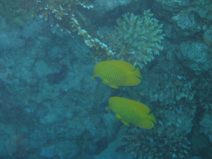 IMG_3555.JPG