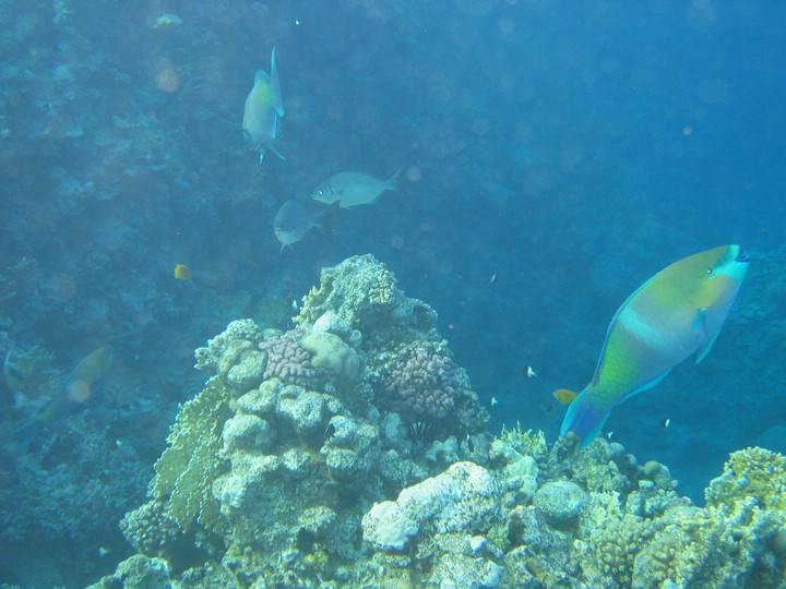 IMG_3567.JPG