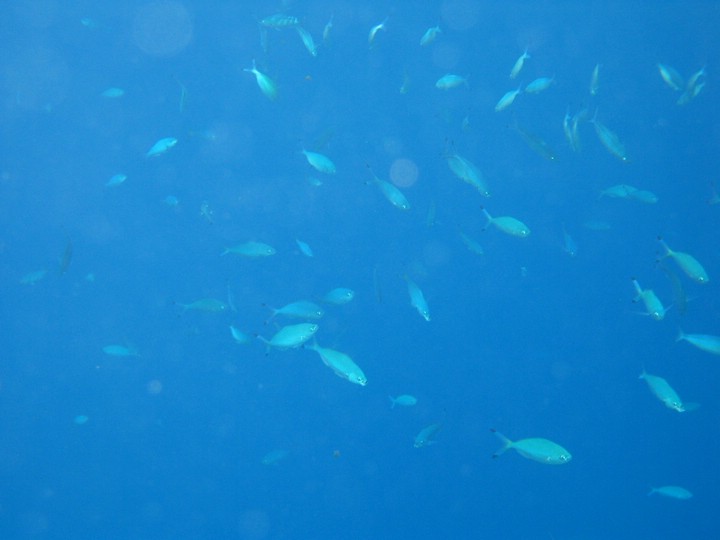 IMG_3570.JPG