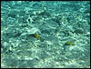 IMG_3452.JPG