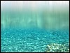 IMG_3453.JPG