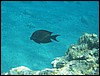 IMG_3455.JPG