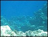 IMG_3456.JPG