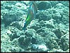 IMG_3459.JPG