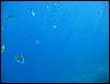 IMG_3460.JPG