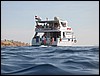 IMG_3463.JPG