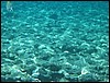 IMG_3466.JPG