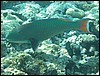 IMG_3469.JPG