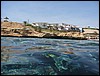 IMG_3472.JPG