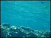 IMG_3480.JPG