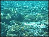 IMG_3481.JPG