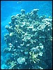 IMG_3483.JPG
