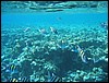 IMG_3484.JPG