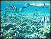 IMG_3485.JPG