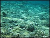 IMG_3493.JPG