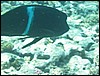 IMG_3494.JPG