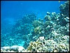 IMG_3496.JPG