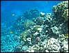 IMG_3497.JPG