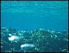 IMG_3503.JPG