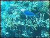 IMG_3505.JPG