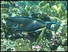IMG_3509.JPG