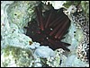 IMG_3511.JPG