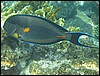 IMG_3512.JPG