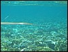 IMG_3514.JPG