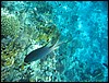 IMG_3516.JPG