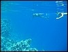 IMG_3517.JPG