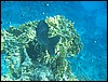 IMG_3518.JPG