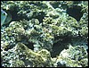 IMG_3521.JPG
