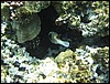 IMG_3522.JPG