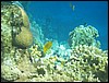IMG_3523.JPG