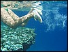 IMG_3525.JPG