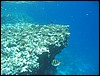 IMG_3526.JPG