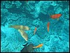 IMG_3530.JPG