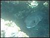 IMG_3533.JPG
