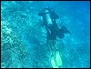 IMG_3535.JPG