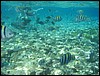 IMG_3537.JPG