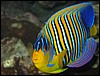IMG_3550.JPG