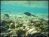 IMG_3563.JPG