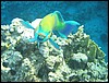 IMG_3566.JPG