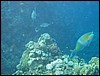 IMG_3567.JPG