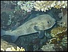 IMG_3569.JPG
