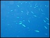 IMG_3570.JPG