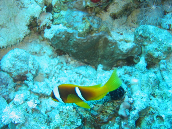 IMG_3584.JPG