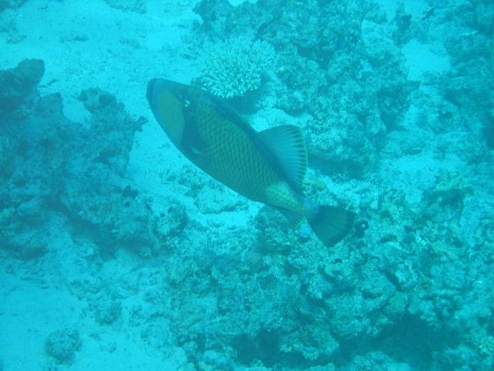 IMG_3608.JPG