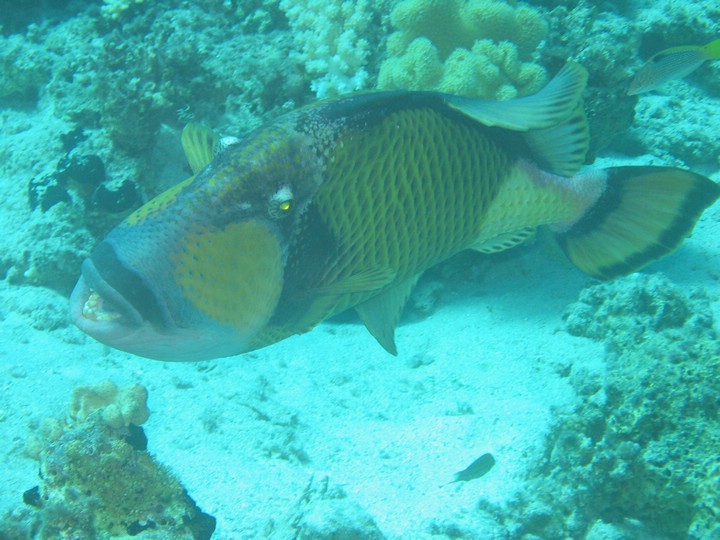 IMG_3610.JPG