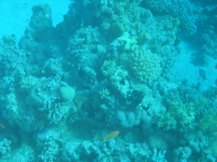 IMG_3613.JPG